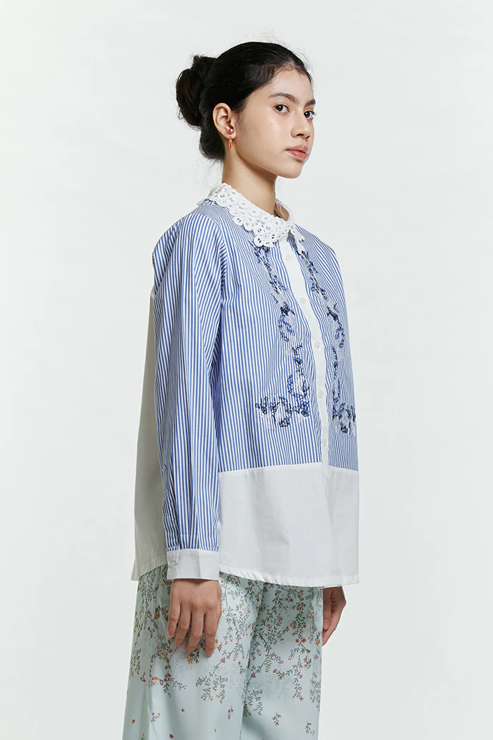 Blue Striped Arar - Image 4