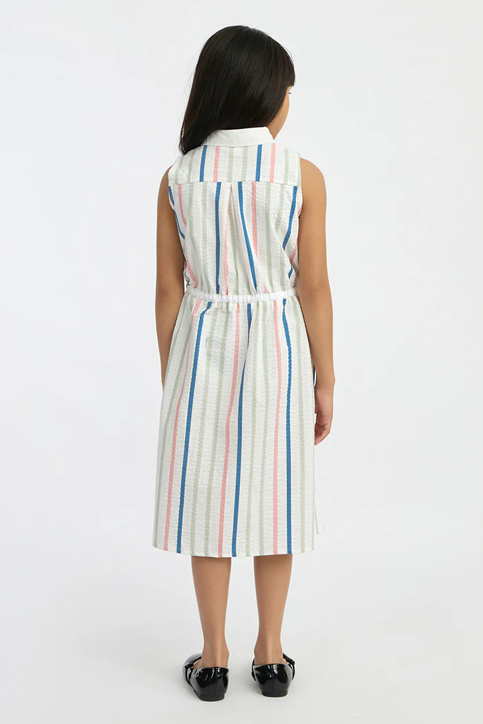 Multicolor Striped Amour - Image 4