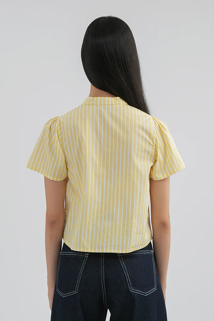 Yellow Zweig - Image 4