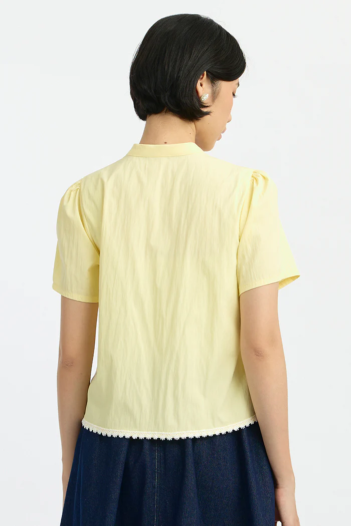 Yellow Zweig - Image 4